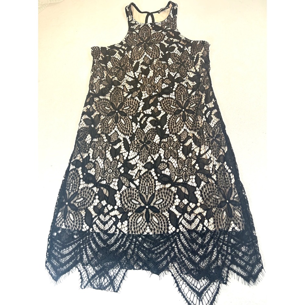 Express Lace Overlay Dress Women XS Black Whimsical